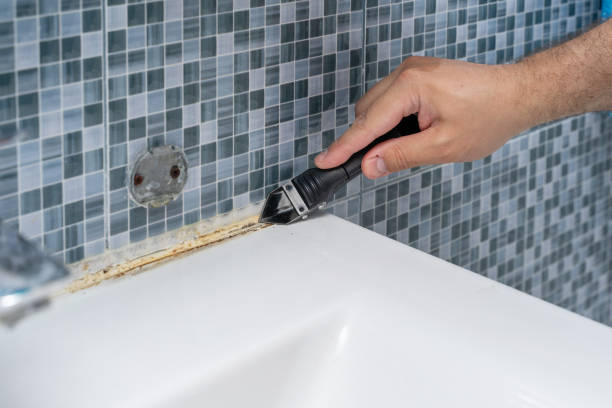 Best Toxic Mold Removal  in Cape St Claire, MD