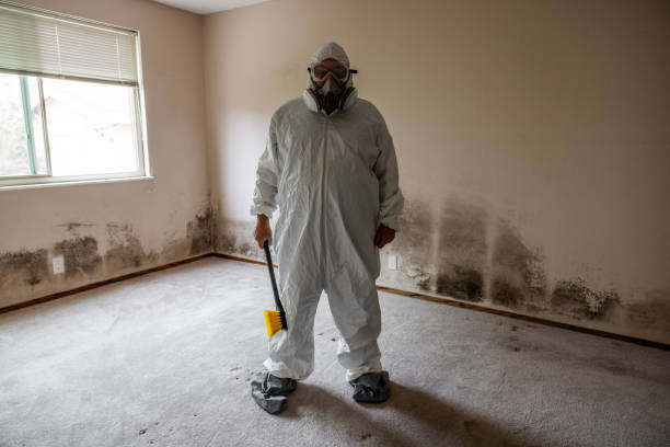 Attic Mold Removal in Cape St Claire, MD